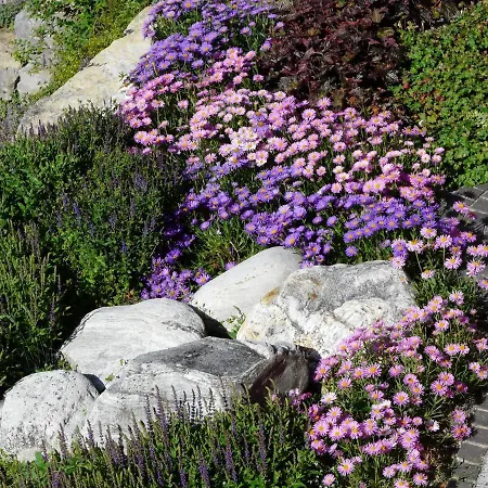 Wo Der Hahn Kraeht Flein