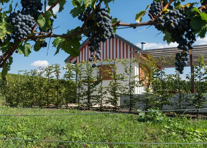 Wo Der Hahn Kraeht 3* Flein