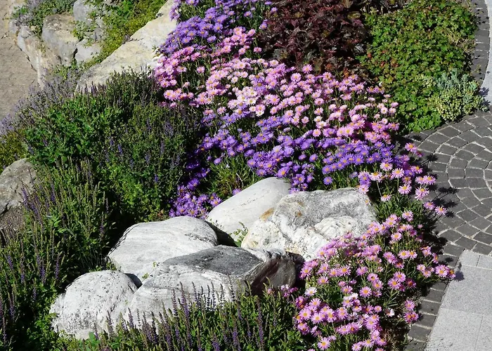 Wo Der Hahn Kraeht Flein